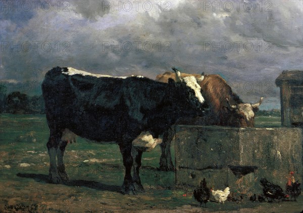 Constant Troyon, French, 1810-1865, Cattle at the Trough, 19th Century, oil on canvas, Unframed: 16 3/4 × 22 inches (42.5 × 55.9 cm)