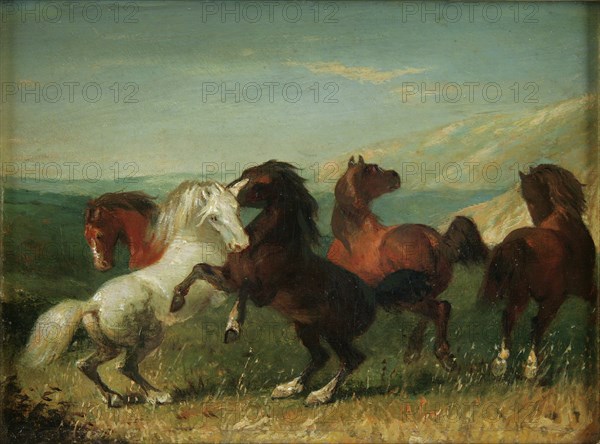 Unknown (American), Wild Horses, 19th century, paint on panel (wood), Overall: 7 1/2 × 8 1/2 inches (19.1 × 21.6 cm)