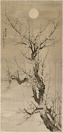 Yamamoto Baiitsu, Japanese, 1783-1856, Prunus in the Moonlight, 1846, Ink on silk, Overall: 103 3/4 × 41 3/4 inches (263.5 × 106 cm)