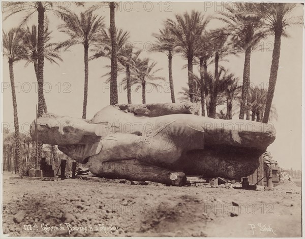J. Pascal Sébah, Turkish, active ca. 1823-1886, Statue of Ramesses II Resting on Its Side at Memphis, 19th century, albumen print, Image: 8 1/8 × 10 1/4 inches (20.6 × 26 cm)