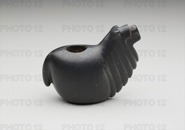 Inca, Precolumbian, Conopa, between 15th and 16th century, carved black stone, Overall: 3 3/8 × 5 1/8 × 2 1/8 inches (8.6 × 13 × 5.4 cm)