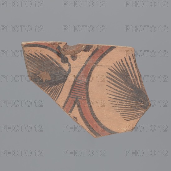 Fragment of a large plate or platter of Egyptian Red Slip Ware B type. Made of Nile clay type B, compact with visible particles of gold mica; fracture with a dark sandwich core red, red-brown, dark gray 2.5YR5/6–2.5YR4/4–5YR4/1–2.5YR4/4–2.5YR5/6. Surface covered with a matte engobe outer red-yellow 5YR6/6; inner pink 5YR7/4, with an additional red-black floral motif plant tendril painted on the inside. 6th–7th century. From Tell Atrib. Vessel; height 12 cm, width 14 cm, thickness 8 mm., A broken pottery shard with a light brown clay surface and painted black and red decorative motifs, showing a curved band in red bordered by black, a few radiating black feather-like or fan-like strokes on either side, a section of a thicker black curved line, and some worn and chipped edges exposing the inner clay; background is a solid gray.