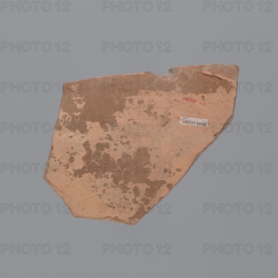Fragment of a large plate or platter of Egyptian Red Slip Ware B type. Vessel made of Nile clay type B, compact with few admixtures and visible particles of golden mica. Fracture with a dark sandwich core red, red-brown, dark gray 2.5YR5/6–2.5YR4/4–5YR4/1–2.5YR4/4–2.5YR5/6. Surface covered with a matte engobe outer red-yellow, 5YR6/6; inner pink, 5YR7/4, with an additional red-black floral motif plant tendril painted on the interior. 6th–7th century, Tell Atrib; vessel. Height 12 cm, width 14 cm, thickness 8 mm., A broken shard of pottery with uneven, rough edges rests against a solid gray background; the shard shows a base color of light pinkish-beige with irregular patches of darker brown clay across its surface, and variations in tone where the surface appears worn and pitted, including a few smoother striated areas and a slightly thicker rim fragment along one edge.
