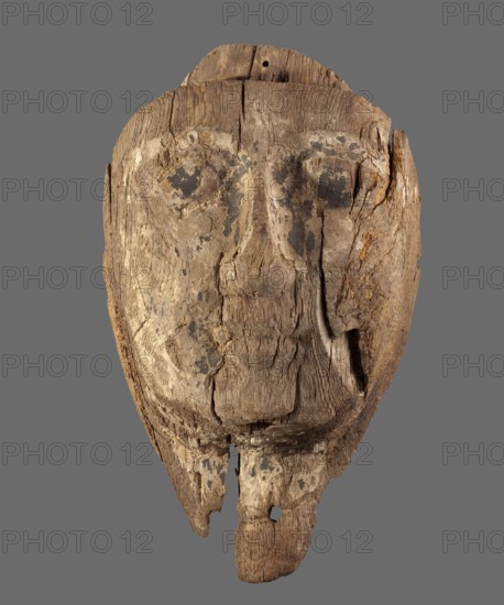 Sarcophagus mask with a preserved fragment of the neck and a protrusion above the forehead an element of a wig attachment. Remnants of black paint on a creamy engobe. 14th–4th century BC; New Kingdom–Late Period, Egypt. Sarcophagus mask., A weathered wooden mask with a roughly oval shape, showing a carved face with a prominent nose and subtle eye depressions; the wood surface is cracked and splintered with rough grain and areas of flaking; there are patches of darker discoloration and lighter worn spots across the face; the bottom edge is uneven and broken with a few holes and missing fragments; the overall colors visible are brown tones of the wood, darker brown to black patches, and some lighter beige areas, set against a plain gray background.