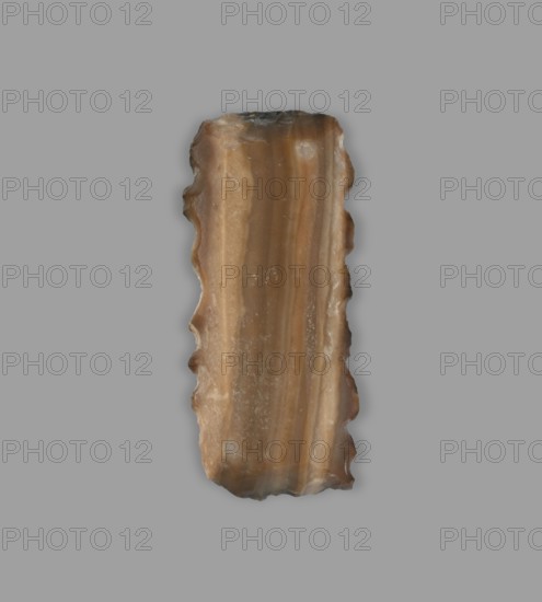 Blade - sickle insert, ; Sumer; flint tool sickle insert; material culture; Eastern Gaulish Scen.; 4th–3rd millennium BC Uruk Culture, ca. 4000–ca. 3100 BC; Southern Mesopotamia; tool, A vertically oriented, irregularly shaped stone slab with scalloped edges sits against a solid gray background. The stone shows layered bands of brown, tan, beige, and hints of darker brown, with a smooth, slightly glossy surface and some granular texture in places. The edges appear chipped and uneven, and the top and bottom ends are more rounded with subtle translucency along the thinner areas. The overall color palette includes shades of brown, tan, beige, gray, and small areas of darker brown.