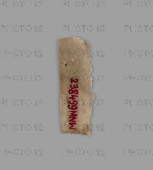 Blade — sickle insert;, flint; Sumer; Uruk culture ca. 4000–ca. 3100 BC, 4th–3rd millennium BC; Southern Mesopotamia; tool sickle insert., A narrow irregular strip of material with rough, uneven edges rests against a flat gray background; the strip is a mottled beige and light tan with darker specks and small spots, and a few rough notches along one side give it a jagged outline, while a smudged darker area and subtle variations in texture are visible on its surface, and there is a vertical area of strong red pigment near the center.