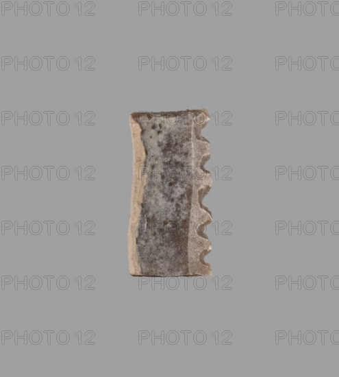 Blade - insert for a sickle, Sumer, sickles, flint tool, material culture, Eastern Gaulish Scen., 4th–3rd millennium BC Uruk culture, Southern Mesopotamia, Sumer, tool, A vertical fragment of a textured material centered on a plain gray background, showing a worn surface with a mix of gray, brown, beige, and off-white tones; the left edge is relatively straight and smoother with beige and light brown layers, while the right edge is irregular and scalloped with curved indentations and rougher beige and gray surfaces; the front face displays mottled gray and brown areas with some darker speckles and lighter patches, and the top and bottom edges appear uneven and slightly rough.