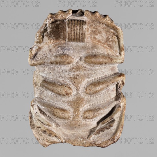 Scarab with naturalistic modeling; protective amulet depicting a sacred animal; amulet scarab; materials not specified; Late Period, 26th Dynasty, Egypt, 664–525 BC; height 4 cm, width 2.8 cm;, A weathered carved object with an elongated vertical shape, showing a series of raised oval ridges arranged in pairs down its center, shallow carved grooves and indented channels outlining the contours, and a scalloped top edge; the surface displays a mottled palette of beige, tan, light brown, cream, and hints of gray with areas of darker brown patina and lighter whitish deposits, and the background is a uniform gray.