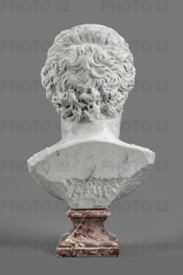 Portrait of Emperor Septimius Severus, unknown Roman workshop, sculptural portrait, Roman Empire circa 193–211, height 56 cm, width 30 cm, depth 24.5 cm, The image shows the back of a sculpted bust with detailed wavy hair and a smooth neck, carved from pale white stone, mounted on a polished mottled base that is reddish-brown with lighter and darker veins; the background is a flat medium gray.