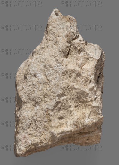 Fragment of a Punic votive inscription, unknown Carthaginian workshop; Punic Carthaginian inscriptions. Upper part of a stele with acroteria with four lines of inscription: For the Lady, Tanit the Face of Baal, and for the Lord, Baal-Hammon, this is what Magon, son of Azarbaal, offered .... The back side of the object has not been processed and smoothed. 3rd–2nd century BC. Carthage Tunisia. Stele, votive inscription. Height 14.5 cm, width 9 cm, depth 6 cm, weight 1.08 kg., A rough, irregularly shaped stone with a jagged peak and uneven surfaces, shown against a plain gray background; the stone displays a textured surface with pits, ridges, and fractures, and a mix of pale beige, off-white, light tan, and subtle gray tones across its face, with small areas of slightly darker brown and faint cream highlights.