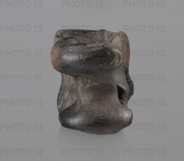 Cow astragal, Myrmekion Crimea, Hellenistic period, bones, cow astragal condylo-talus bone with a regular hole drilled in the center, 332–30 BC, Myrmekion findspot, natural product, height 4.2 cm, A weathered, irregularly shaped object with a smooth, rounded form and textured surface sits against a plain background; its dominant colors are shades of dark gray and black with areas of lighter gray and subtle brownish tones, and there are small patches of muted reddish-orange on one side; the surface shows cracked patterns and worn, glossy highlights, with concave and convex contours, a few depressions and cavities, and a suggestion of layered or eroded material around some edges.