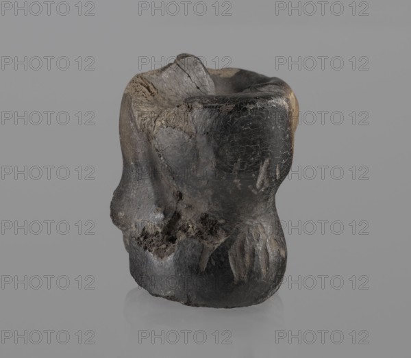 Cow astragal condylo-talus bone from a cow, with a regular hole drilled in the center., Myrmekion Crimea, Hellenistic period, 332–30 BC. Bone; natural product. Height 4.2 cm., A dark, irregularly shaped object with a rough, cracked surface sits against a plain light gray background, showing textured areas in shades of black, dark gray, and brown with lighter gray and tan patches; the object has an uneven top rim forming a hollow, rounded interior and a bulbous base with several indentations and rough protrusions, and its surface displays flaky, weathered patterns and some smoother worn sections.