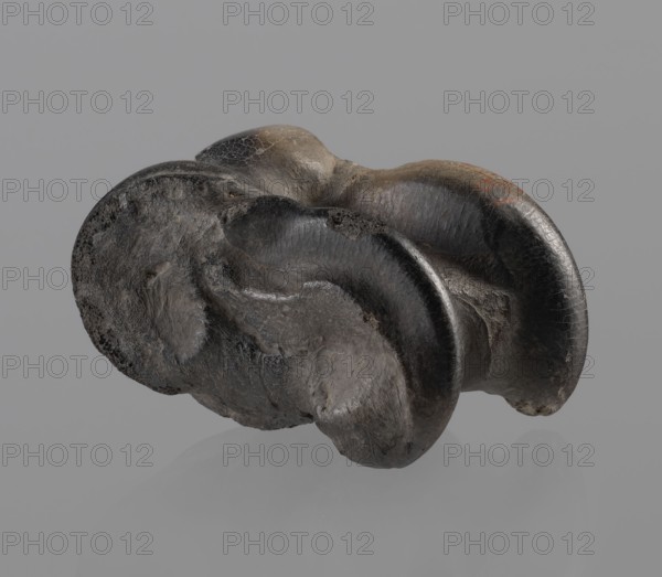 Cow astragal condylo-talus bone of a cow with a regular hole drilled in the center. Hellenistic period, 332–30 BC. Found in Myrmekion Crimea. Natural product bone. Height 4.2 cm., A dark, irregularly shaped object with a rounded, layered form sits against a plain light gray background; the object shows a mix of deep charcoal, black, and dark brown tones with patches of lighter brown and subtle orange discoloration, a few areas with a slightly glossy sheen and visible surface cracks, and a textured, uneven surface with smooth curved ridges and rough porous sections.