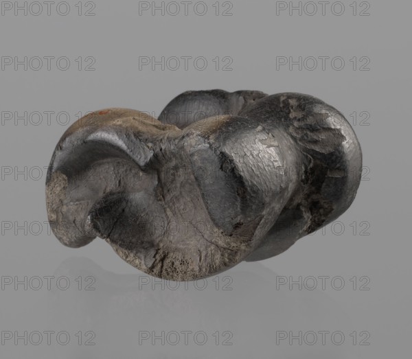 Cow astragal condylo-talus bone from a cow, with a regular hole drilled in the center. Hellenistic period, 332–30 BC. Found in Myrmekion Crimea. Natural material: bone. Height 4.2 cm., A smooth, irregularly shaped object with rounded lobes rests against a neutral background; its surface shows a mix of dark gray and black tones with areas of lighter gray and some brownish patches, and the texture ranges from glossy and slightly cracked to rough and pitted in places, creating visible highlights and subtle shadows across the form.