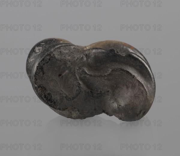 Cow astragal condylo-talus bone, with a regular hole drilled in the center., Myrmekion Crimea, Hellenistic period, 332–30 BC. Material: bone natural product. Height: 4.2 cm., A dark irregularly shaped object with a rough, pitted surface sits against a smooth light gray background, showing shades of black, dark gray, brown, and small areas of lighter gray and muted orange; the object has rounded, bulbous contours with smoother glossy areas and rougher matte patches, textured ridges, depressions, and subtle reflections on the surface, and a faint mirrored reflection of the object appears on the surface below.