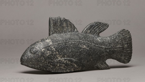 Late Period Egyptian fish figurine, 664–332 BC;, carved/formed figurine of a late fish, height 29 cm, weight 1.812 kg., A stone sculpture of a fish rests on a flat surface against a plain backdrop, showing a textured surface with mottled shades of gray, black, and lighter gray-white patches; the fish has a rounded head with a carved circular eye, a closed mouth, a raised ridge along the body, a tall dorsal fin toward the middle, a smaller fin nearer the tail, and a wide, fan-like tail with carved ridges; the overall color palette includes dark gray, black, light gray, and off-white, and the surface shows a speckled, slightly rough appearance.