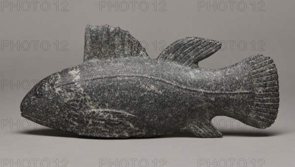 Late Period Egyptian fish figurine, c. 664–332 BC; figurine, height 29 cm, weight 1.812 kg;, A carved stone object in the shape of a fish rests on a flat surface. The fish carving shows a rounded head, a pronounced dorsal fin, a tail fin with ridged texture, and smaller pectoral and pelvic fins, all depicted with carved grooves and ridges. The stone has a speckled appearance with mottled tones of dark gray, light gray, and off-white, with lighter patches and streaks across the body and fins. The background and surface beneath the carving are a smooth, even gray.