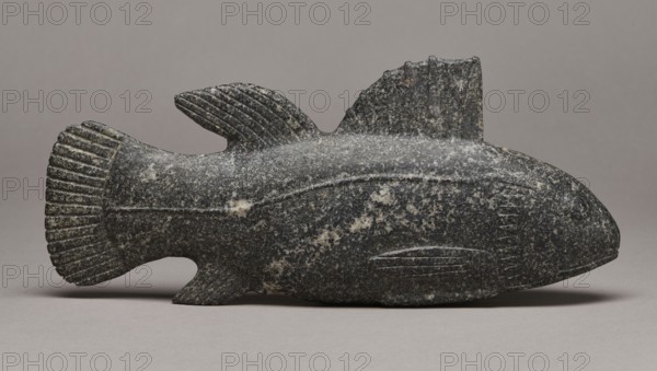 Late Period Egyptian fish figurine, 664–332 BC; figurine, height 29 cm, weight 1.812 kg, A carved stone object shaped like a fish rests on a flat surface, showing a rounded body with a textured tail fin, a dorsal fin, and a small pectoral fin. The stone has a speckled appearance with areas of lighter patches against a darker base, and shallow incised lines accentuate the fins and body contours. The background and surface are smooth and neutral in tone. The visible colors include dark gray, light gray, and pale off-white.