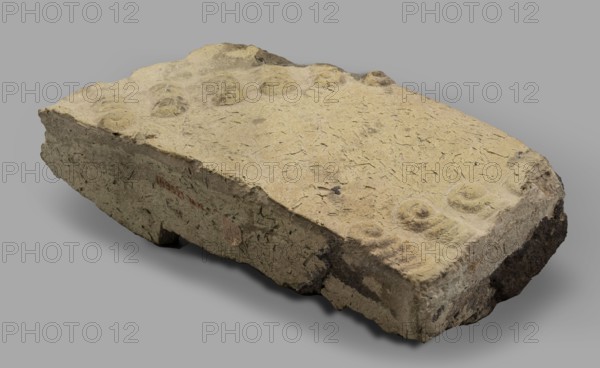 Fragment of a brick with relief decoration. Element of an unglazed panel with a depiction of a bull from the decoration of the Ishtar Gate. On the face side, plastic decoration with a depiction of two diagonally running spirally twisted curls of hair from the figures of bulls that decorated the walls of the Ishtar Gate in Babylon older unglazed phase. 1st half of the 6th century BC; Neo-Babylonian period. Babylon Iraq. Element of architectural decoration. Weight 810 g., A rough rectangular slab with an uneven, textured surface and worn edges sits on a plain background; the slab is primarily beige with areas of light tan and small darker gray and brown patches, showing a group of shallow rounded depressions and raised circular marks on its top face, along with scattered thin fibrous inclusions and small chips along the sides; the underside and edges reveal darker gray and brown discoloration and a few rough broken areas.