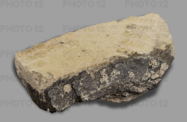 Fragment of a brick with relief decoration. Element of an unglazed panel with a depiction of a bull from the decoration of the Ishtar Gate. On the face side, plastic decoration with a depiction of two diagonally running spirally twisted curls of hair from the figures of bulls that decorated the walls of the Ishtar Gate in Babylon older unglazed phase. 1st half of the 6th century BC; Neo-Babylonian period, Babylon Iraq. Element of architectural decoration. Weight 810 g., A roughly rectangular slab of rock with an uneven, weathered surface sits against a plain gray background; the top face of the slab is a pale yellowish-beige with subtle circular impressions and small darker specks, while the sides show a mix of darker gray and black rough textures interspersed with lighter beige patches, and the underside has shadowed areas creating darker gray tones.