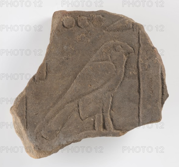 The Hor Hieroglyph - relief fragment, Relief fragment with several preserved hieroglyphic signs. The preserved fragment features a schematic representation of a falcon the Hor sign shown in right profile, above which three ball-like signs and a triangular sign are preserved. Sections of the side frames remain. 3rd–1st century BC; Ptolemaic Period, Edfu. Inscription, bas-relief; height 17 cm, width 16 cm, depth 3 cm., A roughly triangular fragment of brownish-gray stone with a textured, weathered surface features a carved outline of a bird in profile standing on its legs; the bird carving shows a rounded head, curved beak, a defined wing area, and a long tail extending toward one corner of the fragment. The stone edges are irregular and chipped, and there are a few shallow circular depressions and incised lines near the top and along one side. The visible colors are shades of brown, gray, and a few lighter tan areas on the stone.