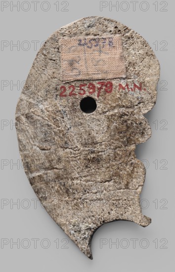 Decoration in the shape of the head of Silenus. Relief appliqué of the head of Silenus. The head is depicted in profile facing left. The nose is wrinkled and snub-nosed, with clearly marked holes, and the lips are full and pursed in a slightly sarcastic grimace. The face is framed by a mustache and beard. The eyes have clearly defined irises, half-closed, with slightly upturned eyebrows. At the level of the lower corner of the eye, a round hole is drilled through – the remains of a mounting. Behind it, at eye level, a clearly developed, though somewhat schematically depicted ear can be seen. A wreath or crown is visible on the hair above the forehead. A semicircular, oval cutout of unknown purpose is visible under the chin. 3rd–2nd century BC, Myrmekion Black Sea region. Appliqué, bas-relief; height 7.2 cm, width 4.1 cm., An irregularly shaped flat object with a rough, porous texture in shades of beige, tan, light brown, and gray, showing natural striations and small pits; a small roun...