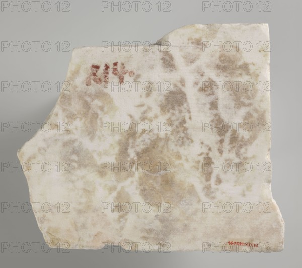 Fragment of a relief with a dancing maenad, 1st century BC, 27 BC–14 period of the rule of Octavian Augustus, Roman Empire, bas-relief, height 35 cm, width 30 cm, thickness 6.5 cm, A roughly rectangular broken slab with an irregular edge and uneven surface showing a mottled pattern in off-white, beige, tan, light brown, and pale yellow tones, with a small area of red pigment near the upper left and a small spot of red near the lower right; the background behind the slab is a smooth light gray.