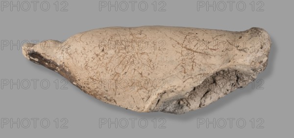 Votive offering in the form of a phallus, votive offering, phalluses, 332–30 BC; Hellenistic period, Etruria, Caere; height 6 cm, width 15 cm, depth 6 cm, weight 0.21 kg, length 15.3 cm, A roughly elongated, irregularly shaped object with a smooth domed surface and a rough broken edge, shown against a uniform gray background; the object displays a pale beige to off-white color with a network of fine brownish scratches and markings across its top, darker brown and gray discoloration along one tapered end and near the rough broken area, and some small dark specks scattered on the surface; the broken edge reveals a crumbly, porous interior with mottled gray and beige tones.
