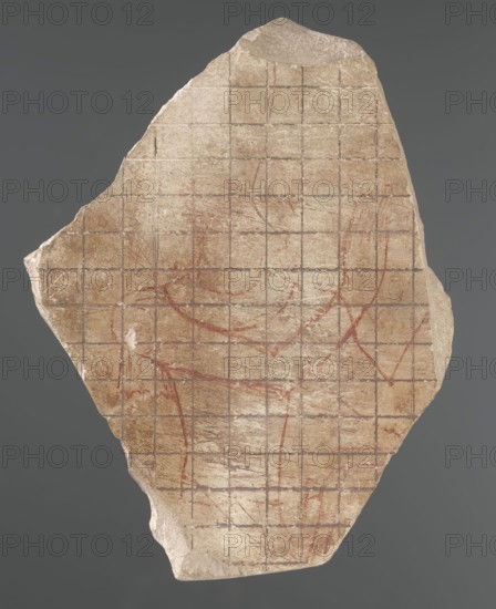 Sculptural sketch with a king in a proportional grid; relief models; sketches; king iconography. Irregular plate with a drawing of a measuring grid, showing the king in right profile with arms raised in a gesture of adoration. Figure preserved to the waist, with loincloth and necklace visible; head obliterated. Model; height 15 cm, width 11 cm, depth 1.5 cm, weight 0.286 kg. 332–30 BC, Ptolemaic Period; found at Edfu., A roughly triangular broken stone fragment with a smooth gray background shows a weathered beige surface marked by a grid of thin darker lines and faint curved strokes in reddish-brown; the stone has irregular chipped edges and areas of lighter and darker beige, with the grid continuing across the whole visible face and the reddish-brown curved marks crossing several grid squares.