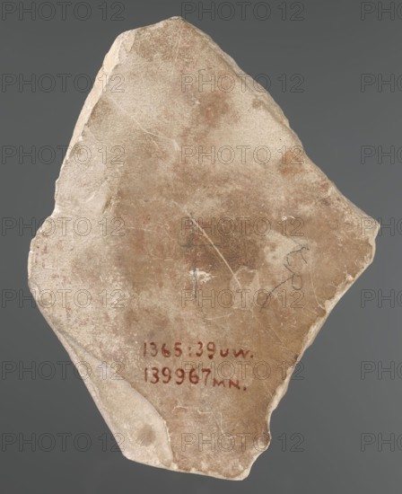Sculptural sketch with a king in a proportional grid; relief models; sketches; king iconographic. Irregular plate with a drawing of a measuring grid, on it a drawing of the king in right profile, with arms raised in a gesture of adoration. The figure is preserved up to the waist, with the loincloth and necklace visible. Head obliterated. 332–30 BC; Ptolemaic Period. Edfu site of finding. Model. Height 15 cm, width 11 cm, depth 1.5 cm, weight 0.286 kg., A roughly triangular broken stone slab with a weathered surface showing a mix of beige, tan, light brown, and faint reddish-brown patches, with lighter off-white edges and chips; the surface has several thin cracks and scratches, a few darker smudges, and a small area with a darker grayish mark near one edge, set against a plain neutral gray background.