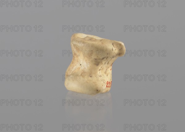 Goat astragal, Myrmekion Crimea; astragal condylo-talus bone from goat; bones; antiquity; 332–30 BC, Hellenistic period; found in Myrmekion; product of nature; length 2.1 cm, A small irregularly shaped object with a smooth, worn surface sits centered against a uniform gray background, showing shades of creamy beige with darker brown speckles and patches; the object casts a faint reflection below and displays subtle surface dents and rounded protrusions, with a small area of muted red visible on one side.