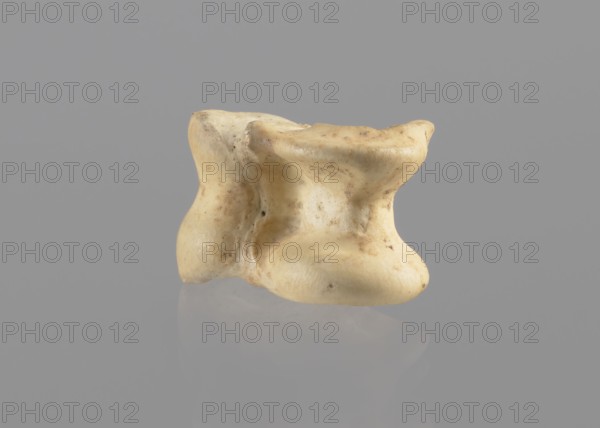 Goat astragal, Myrmekion Crimea, astragal condylo-talus bone from a goat, bones, antiquity; 332–30 BC Hellenistic period, Myrmekion place of finding, product of nature, length 2.1 cm, A pale beige, irregularly shaped object with a smooth, slightly pitted surface sits against a uniform gray background, showing subtle darker beige and brown speckles and smudges; the object casts a soft reflection on the glossy gray surface beneath it, and its form includes rounded protrusions, concave curves, and shallow indentations, with visible texture variations and gentle shadows emphasizing its contours.