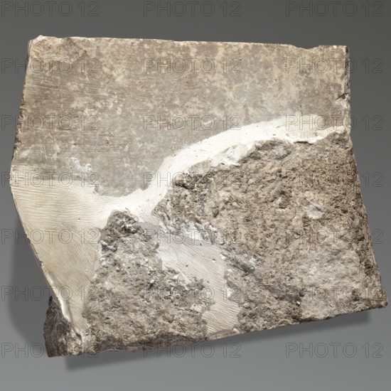 Fragment of an orthostat with relief decoration, unknown Neo-Assyrian workshop. Fragment of a stone wall-facing slab orthostat with a relief representation of two men shooting a bow. The man in the foreground holds a bow in his outstretched left hand, drawing it with his bent right hand. The second archer is largely obscured by the first; his head, left side, and left arm holding a drawn bow and arrow are visible. Both archers wear short-sleeved tunics. Their heads are shown in right profile with identical beard and hairstyle: a thick beard depicted by schematic curls arranged regularly in vertical and horizontal rows; a headband with two ends protruding at the back; hair above the headband combed in straight strands over the forehead and thick schematic curls at the nape. This hairstyle with a headband is characteristic of depictions of Elamite soldiers in Assyrian art. Neo-Assyrian art, 7th century BC, c. 668–c. 631 BC reign of Ashurbanipal. From Nineveh, Kuyunjik Southwestern Palace...