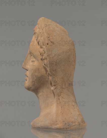 Votive female head, Female head wearing a wreath, from under which lush locks of hair curl down the sides of the face to the neck. High forehead, large eyes deep-set in relation to the nose, slightly convex with developed eyelids and eyeballs, pupils are marked. Small straight nose; narrow, slightly parted mouth with fleshy lips. Strong chin, slightly protruding forward; slim cheeks giving the face a triangular outline. 3rd–2nd century BC, Etruria; votive. Height 26 cm, width 21 cm, depth 13 cm, weight 2 kg., A terracotta-colored sculpted head shown in profile against a gray background, with a smooth elongated neck and base, textured surface with rougher areas and small pits, a carved nose, lips, chin, and an eye socket, braided or ridged hair detail running along the side of the head, and subtle variations of brown, tan, beige, reddish-brown, and gray tones across the surface.