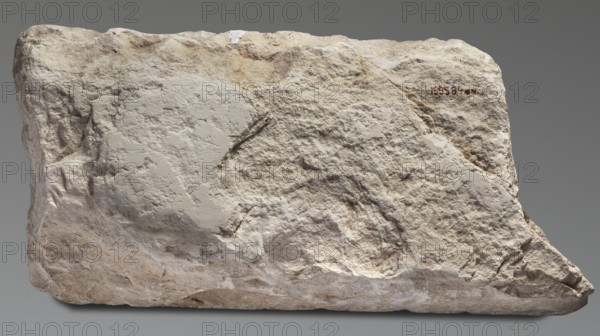 Relief from the mortuary temple of Niuserre, Niuserre ruler of Egypt; ca. 2445–2421 BC, restitution provenance, offerings iconography, ritual vessels iconography, architectural elements, religious scenes, funerary architecture, fragment of a block with a representation of an offering table and objects intended for sacrifice, high relief, ca. 2445–2421 BC; Old Kingdom, 5th Dynasty Nyuserre's reign, Abusir, bas-relief, height 26 cm, width 53 cm, depth 10 cm, weight 21 kg, A roughly rectangular block of stone with an uneven, textured surface occupies the image; the stone shows a range of colors including off-white, beige, light tan, pale gray, and small areas of darker brown. The surface has rough, pitted areas and smoother, more worn patches, with visible ridges, depressions, and small fractures. The top edge is irregular and slightly jagged, while the lower edge is flatter with some bulbous protrusions. There are subtle shadowed crevices and gentle highlights that emphasize the stone's ...