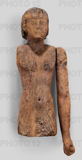 Male statue, Genius Mieczyslaw 1853–1920. Egyptian sculpture, Old Kingdom, 6th Dynasty, c. 2345–c. 2181 BC. Grave equipment: slender torso, flat at hip level; thick, short neck; round head; almond-shaped eyes with marked irises; broad nose; thick mouth; left arm extended downwards with hand clenched into a fist; wigs. Sculpture, height 56 cm, width 18 cm, depth 10.5 cm., A carved wooden torso and head of a human figure displayed against a light gray background, the wood showing a weathered, cracked surface with a range of brown tones from light to dark and hints of reddish brown; the head has short carved hair and a neutral facial expression, the shoulders and upper chest are visible with texture and cracks, and one intact arm extends downward at the side with a rounded hand, the other shoulder area is truncated.