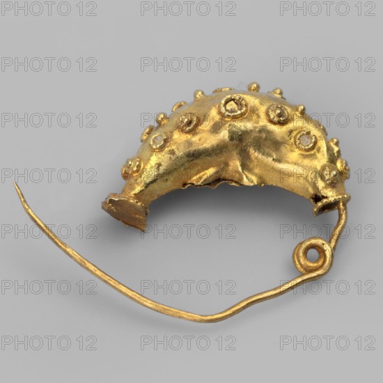 Leech fibula, brooch made of gold plate with a swollen ring, decorated with filigree rings and central granulation. No sheath. 6th century BC, Etruria. Jewelry fibula. Height 1.7 cm, width 2.1 cm, depth 0.7 cm, weight 0.7 g., A small curved metallic object with a bright gold color, featuring a textured surface with a group of raised circular bumps and bead-like protrusions across its top; one end shows a short flattened extension while the other end connects to a thin, irregularly shaped gold wire that forms a loop and a long slender curved tail; the background is a smooth light gray.