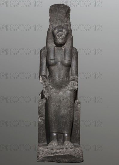 Statue of the goddess Sekhmet. Woman with a lioness's head seated on a throne, dressed in a long close-fitting veil. Hands on her knees; in her left hand the goddess holds the sign of life. At the front of the throne, next to the goddess's legs, a column of hieroglyphs on each side. Solar discs, uraei and carved sema taui motif on the sides of the throne. Inscribed hieroglyphs. c. 1390–1352 BC; New Kingdom, 18th Dynasty reign of Amenhotep III, Karnak. Sculpture. Height 240 cm, width 61 cm, depth 123 cm, weight 2300 kg., A dark gray stone statue of a seated figure with a feline head and an elongated headdress sits on a square base; the figure has a smooth torso with visible breasts, a long skirt draping over the legs, arms resting at the sides with hands placed on the thighs, and a stylized collar or wig framing the face. The stone shows surface wear and rougher chipped areas on one side of the skirt and arm, and a few lighter gray patches from abrasion. The base and the vertical suppor...