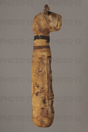 Cat mummy, cat mummy decorated with a meander made of white and brown bandages; materials: fabrics, linen; date: 30 BC–395 AD, Roman period, Egypt; type: mummy; dimensions: height 27.3 cm, width 6.5 cm, depth 6 cm., An elongated wrapped object resembling a narrow column with a rounded base and a sculpted head-like top, covered in layered, worn fabric in shades of tan, brown, and dark brown, showing areas of fraying, patches, and visible stitching; the head portion is slightly darker with textured folds, the neck area has a few horizontal bands in dark brown and black, and the body displays a pattern of alternating tan and brown strips with irregular darker spots and abrasions against a plain gray background.