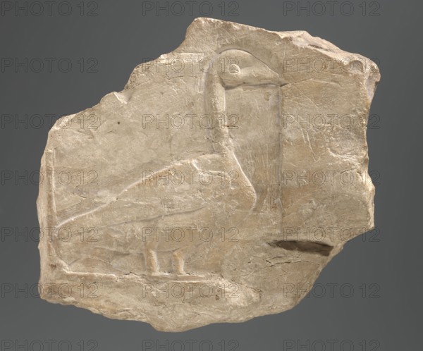 Sculptural model with a goose; relief model; geese iconography; model, bas-relief; 332–30 BC, Ptolemaic Period; found at Edfu; height 13 cm, width 15 cm, depth 5.5 cm;, A roughly shaped light beige stone fragment with a shallow carved outline of a bird, showing a long curved neck, rounded head, a beak, and a simplified body and legs, set against a smooth gray background; the stone surface has a few visible cracks and tool marks and displays subtle variations of beige and tan with some slightly darker brownish areas.
