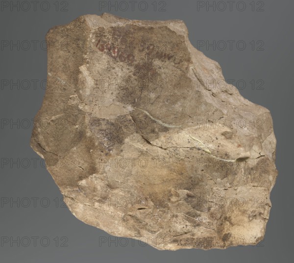 Sculptural model with a goose; relief model; geese iconography;, bas-relief model; Ptolemaic Period, 332–30 BC; found at Edfu; dimensions: height 13 cm, width 15 cm, depth 5.5 cm., A roughly irregular stone with a rough, weathered surface in shades of beige, tan, brown, and gray, showing a few areas of lighter cream and pale yellow where thin veins or mineral seams run across the face; the surface has several fractures, small pits, and uneven layered textures, with patches of darker brown discoloration and some smoother worn spots, all set against a neutral gray background.