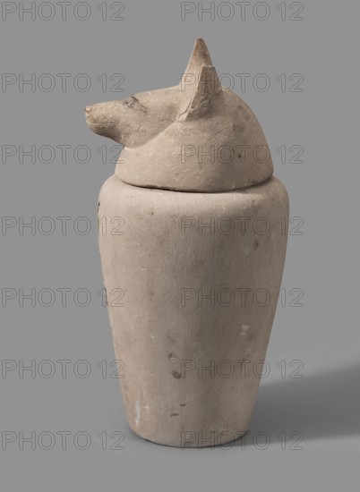 Canopic jar with a jackal's head, canopic jar, jackals, Duamutef mythology. The vessel widens upward and ends with a slightly rounded rim. The lid is in the shape of a jackal's head. On the front of the vessel is a vertical hieroglyphic inscription painted in black. The pupils and eyelids are polychrome. The ears are sculpturally detailed. The text refers to Kebehsenuf, so the lid was probably replaced it should be a falcon's head. c. 1069–664 BC; Third Intermediate Period, Egypt. Urn; height 32 cm, width 16 cm., A single carved object resembling a tall cylindrical container with a lid shaped like an animal head sits against a plain background; the object appears to be made of a pale beige or light tan material with a matte, slightly rough surface and shows small spots and scuffs; the lid has a pointed snout, upright ears, and a suggestion of carved eyes and muzzle, all in the same pale beige or light tan color, and the background is a uniform medium gray.