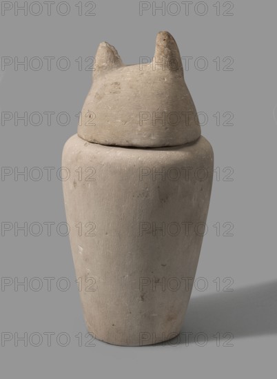 Canopic jar with a jackal's head, canopic jars; jackals; Duamutef mythology. The vessel widens upwards and ends with a slightly rounded rim. The lid is in the shape of a jackal's head. On the front of the vessel is a vertical hieroglyphic inscription, painted in black. The pupils and eyelids are polychrome. The ears are sculpturally detailed. The text refers to Kebehsenuf, so the lid was probably replaced it should be a falcon's head. c. 1069–664 BC; Third Intermediate Period, Egypt. Urn; height 32 cm, width 16 cm., A tall cylindrical object with a rounded removable top that has two small pointed ear-like projections, all shown against a flat gray background; the object is a muted beige with subtle variations and small darker spots, and the background is solid medium gray.