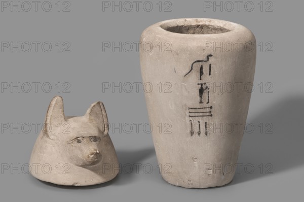 Canopic jar with a jackal's head, canopic jar, jackals, Duamutef mythology. The vessel widens upwards and ends with a slightly rounded rim. The lid is in the shape of a jackal's head. On the front of the vessel is a vertical hieroglyphic inscription, painted in black. The pupils and eyelids are polychrome. The ears are sculpturally detailed. The text refers to Kebehsenuf, so the lid was probably replaced it should be a falcon's head. c. 1069–664 BC; Third Intermediate Period, Egypt. Urn; height 32 cm, width 16 cm., A light beige cylindrical vessel with a rounded rim sits beside a light beige lid shaped like an animal head with prominent upright ears and a short snout; the vessel shows a few vertical and horizontal dark brush marks on its side while the lid displays carved facial features and subtle darker shading around the eyes and snout, and both objects rest on a neutral gray surface against a neutral gray background with soft shadows.