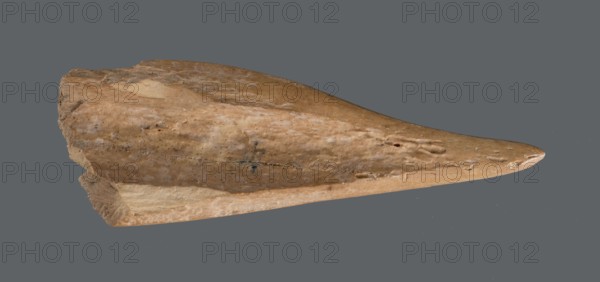 Awl, Tools; awl made from a cut triangular, flat fragment of animal bone. The elongated, sharpened end is polished from use piercing fabrics or leather. Early Jazira III / Early Dynastic III period, c. 2600–c. 2350 BC. Excavated at Tell Abu Hafur northeastern Syria, Northern Mesopotamia Khabur basin. Height 7.4 cm; width 2.5 cm; diameter of pointed working end 0.4–0.7 cm., A single elongated, tapered object with a rough, irregular surface is shown against a flat background. The object has a pointed end and a thicker, jagged base, with visible pitting, small holes, and textured grooves along its length. Its surface shows a range of earthy colors including light tan, beige, brown, and some darker brown flecks, with subtle lighter streaks and patches. The background is a solid muted gray.