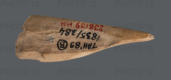 Awl, Tools; awl made from a cut triangular, flat fragment of animal bone. The elongated, sharpened end is polished from use piercing fabrics or leather. Early Jazira III period / Early Dynastic III period, c. 2600–c. 2350 BC. Provenance: Tell Abu Hafur northeastern Syria, Al-Jazira / Northern Mesopotamia Khabur basin. Height 7.4 cm; width 2.5 cm; diameter 0.4–0.7 cm pointed working end., A roughly triangular, weathered wooden shard with a tapered pointed end and a jagged broken end, showing a textured grain and uneven surfaces in shades of tan, light brown, and beige, lying against a solid medium gray background; a few painted markings are visible in dark black and red, and there are small darker gray smudges and spots on the wood.