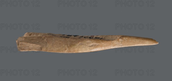 Awl, Tools; awl made from a cut triangular, flat fragment of animal bone. The elongated, sharpened end is polished from use piercing fabrics or leather. c. 2600–c. 2350 BC, Early Jazira III / Early Dynastic III period. Tell Abu Hafur northeastern Syria, Al-Jazira / Northern Mesopotamia Khabur basin. Height 7.4 cm; width 2.5 cm; diameter of pointed working end 0.4–0.7 cm., A long tapered object with a rough textured surface in shades of tan, beige, and light brown resting against a flat gray background, showing an irregular thicker end with jagged edges and a narrower pointed end, with areas of smoother worn sheen and a few darker brown and black marks on the upper surface.