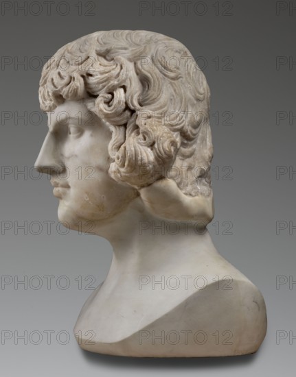 Portrait of Antinous, unknown Roman workshop, male portrait bust, Roman sculpture, 130–138 CE, Roman Empire 27 BC–476, marble sculpture; weight 59.5 kg, height 54 cm, width 40 cm, depth 32 cm., The image shows a sculpted bust of a head and upper shoulders carved from a pale stone with visible areas of beige and light brown discoloration, featuring stylized wavy hair rendered in detailed curls, a prominent nose, defined lips, and a smooth neck and shoulders; the background is a gradient of gray.