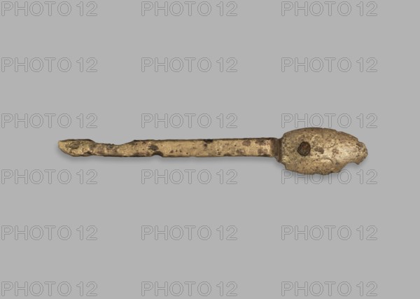 Medical tool fragment of strigilis?, tool, height 12.8 cm, possibly from Rome, Madeyski, Antoni 1862–1939., A long, slender metallic object with a rough, pitted surface lying horizontally against a flat light gray background; one end is rounded and bulbous with an irregular outline and a small circular darker area, while the opposite end tapers into a narrower, slightly hooked tip; the metal appears mottled with shades of gold and bronze and areas of darker brown discoloration and spots, with subtle shadows beneath the object.