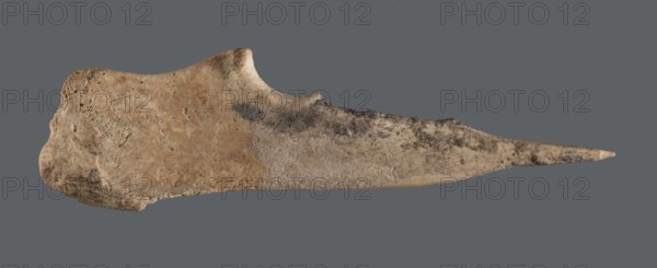 Awl, An awl made of unworked animal bone with a sharpened end used for piercing materials fabrics or leather. Early Jazira III period / Early Dynastic III period, ca. 2600–ca. 2350 BC. Tell Abu Hafur northeastern Syria; Northern Mesopotamia Khabur basin, Al-Jazira. Tool. Height 9.3 cm; width 2.9 cm; diameter of pointed working end 0.2–0.5 cm; weight 8 g., A single elongated object with an irregular, tapered shape lying horizontally against a solid gray background, showing a rough, textured surface with worn areas and porous spots; the object displays a palette of tan, beige, light brown, darker brown, gray, and small patches of black, with the left side broader and more bulbous and the right side narrowing to a pointed tip, and visible surface variations including pitting, scratches, and mottled discoloration.